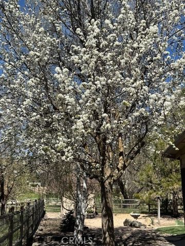 30081 Jamaica Dunes Drive, Tehachapi, CA 93561