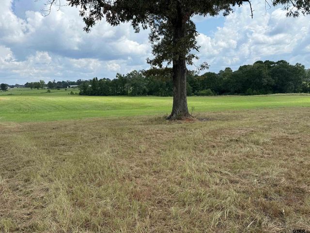 580 CR 1630, Crockett, TX 75835