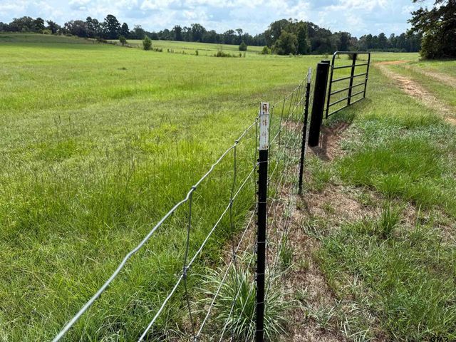 580 CR 1630, Crockett, TX 75835