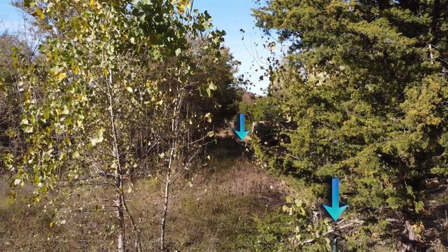 1439 Cedar Mills Road, Gordonville, TX 76245