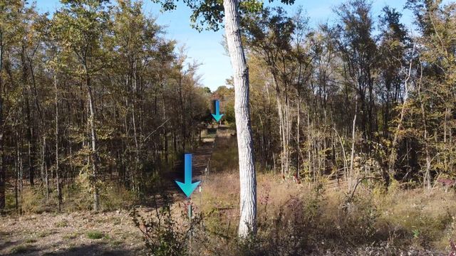 1439 Cedar Mills Road, Gordonville, TX 76245