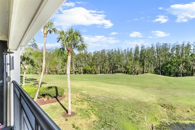 29300 BAY HOLLOW DRIVE 3250, Wesley Chapel, FL 33543