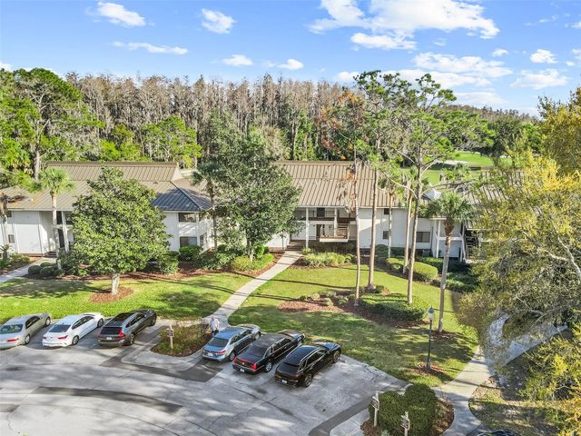 29300 BAY HOLLOW DRIVE 3250, Wesley Chapel, FL 33543