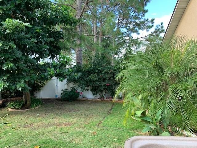 255 CELLO STREET, Davenport, FL 33896