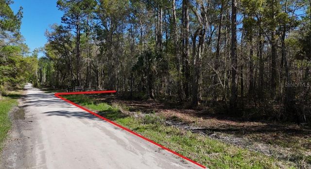 TBD NE 137TH PLACE, Citra, FL 32113