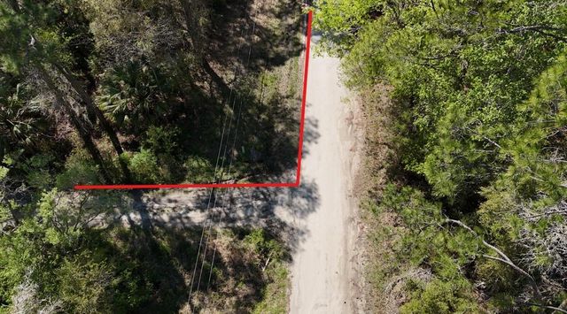 TBD NE 137TH PLACE, Citra, FL 32113