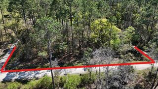 TBD NE 137TH PLACE, Citra, FL 32113