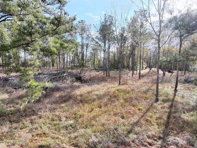 2221 Fm 770 Road N, Liberty, TX 77575