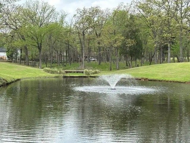 115 Hilton Head Island Drive, Mabank, TX 75156