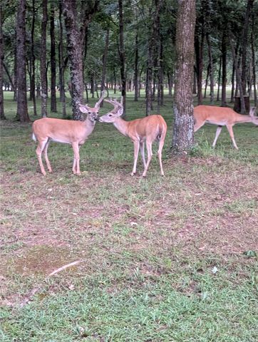 115 Hilton Head Island Drive, Mabank, TX 75156