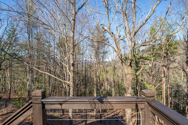 60 Laurel Ridge Court, Ellijay, GA 30536