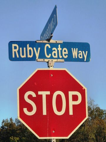 304 Ruby Cate Way, Murfreesboro, TN 37128