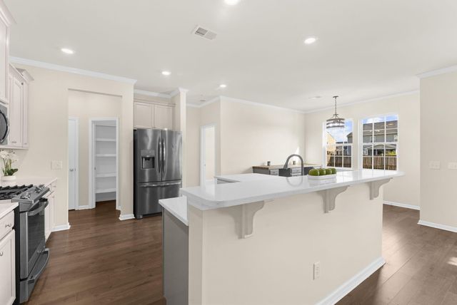 228 Firewheel Court, Summerville, SC 29486