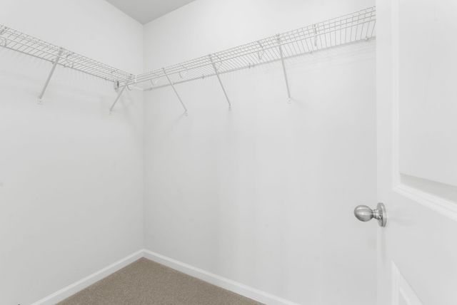 228 Firewheel Court, Summerville, SC 29486