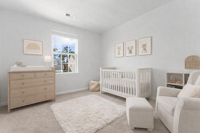 228 Firewheel Court, Summerville, SC 29486