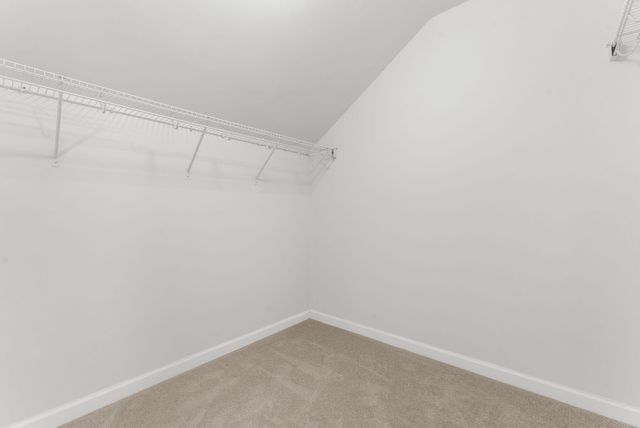 228 Firewheel Court, Summerville, SC 29486