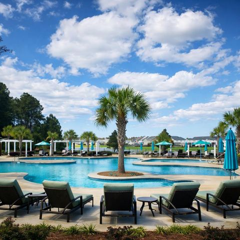 228 Firewheel Court, Summerville, SC 29486