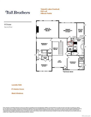 5580 Blacksmith Avenue, Timnath, CO 80547