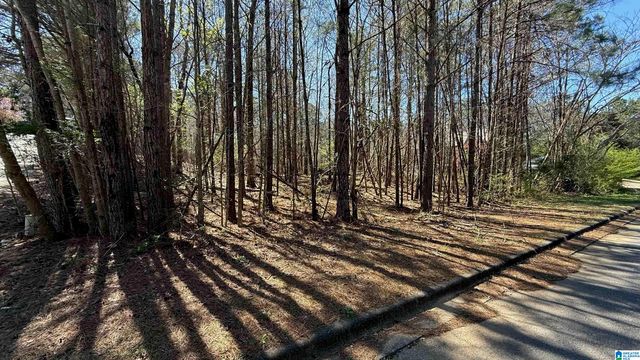 1026 LONG BRANCH PARKWAY, Calera, AL 35040