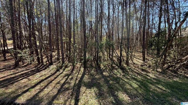 1026 LONG BRANCH PARKWAY, Calera, AL 35040