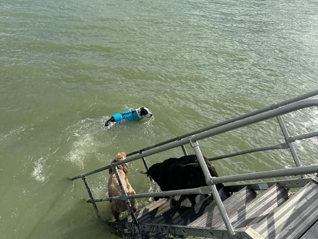 35568 Hamer Street, New Baltimore, MI 48047