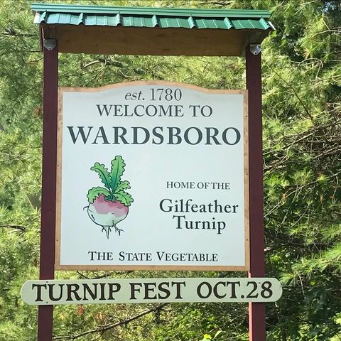 137 Stratton Arlington Road, Wardsboro, VT 05360
