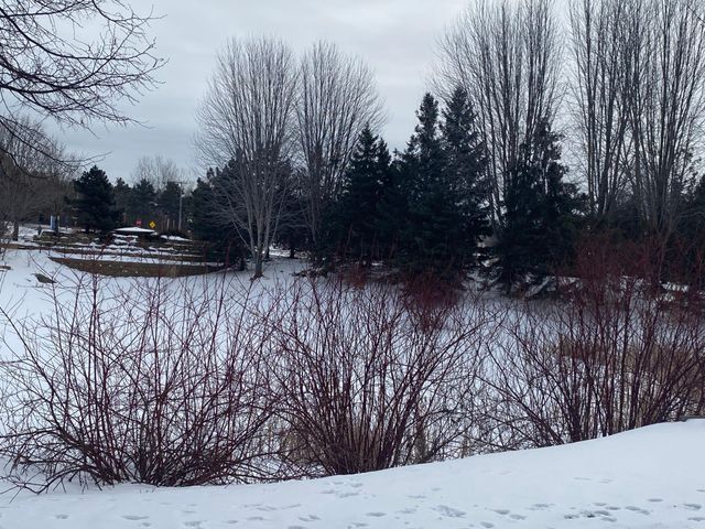 10759 Falling Water Lane B, Woodbury, MN 55129