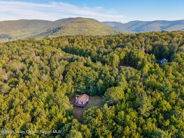 321 Terrace Drive, Lexington, NY 12468