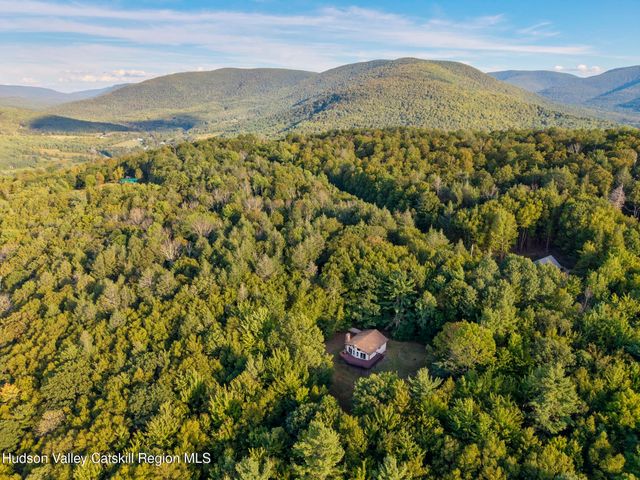 321 Terrace Drive, Lexington, NY 12468