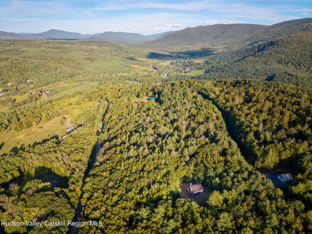 321 Terrace Drive, Lexington, NY 12468