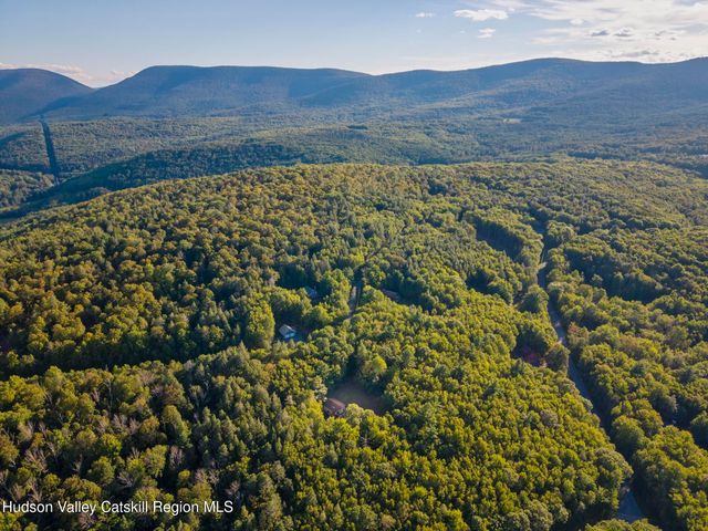 321 Terrace Drive, Lexington, NY 12468