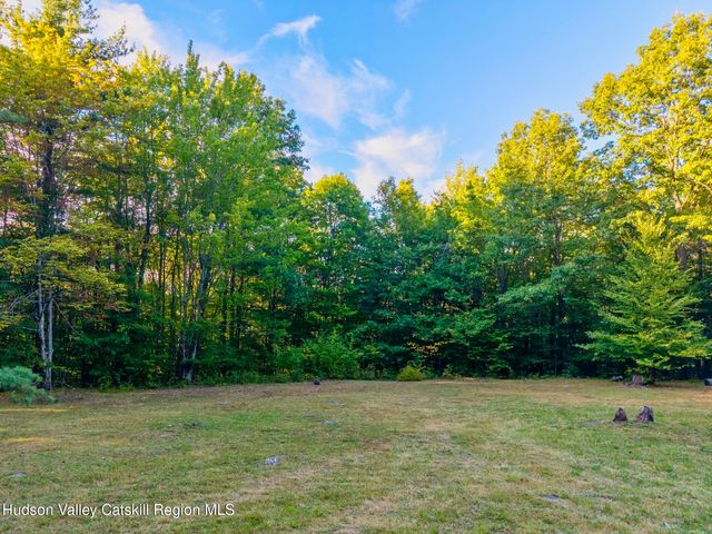 321 Terrace Drive, Lexington, NY 12468