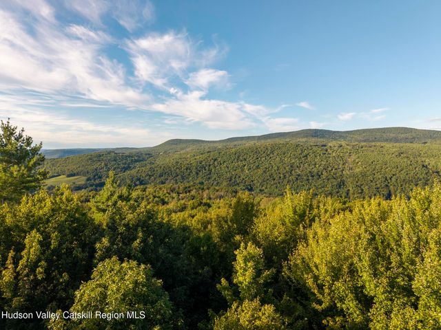 321 Terrace Drive, Lexington, NY 12468