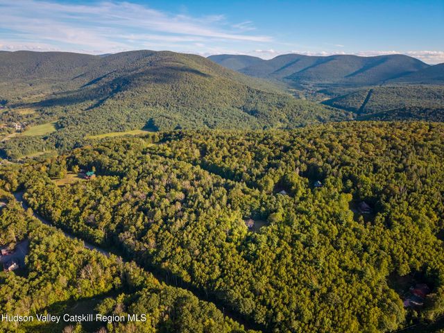 321 Terrace Drive, Lexington, NY 12468