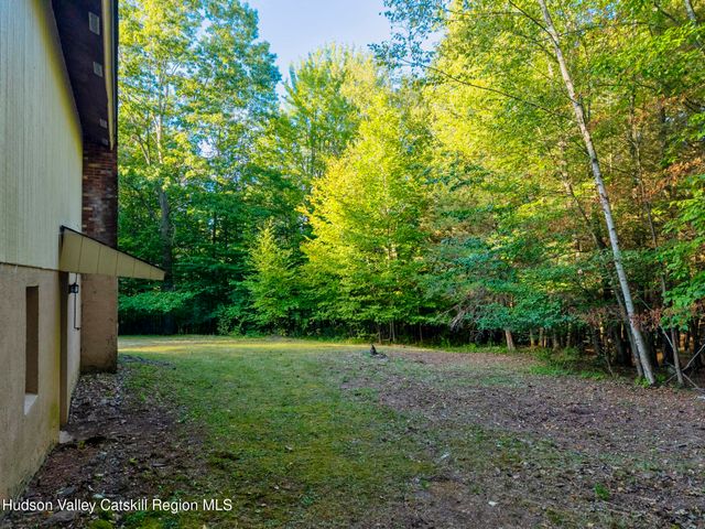 321 Terrace Drive, Lexington, NY 12468