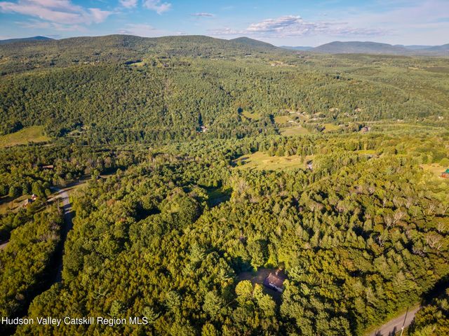 321 Terrace Drive, Lexington, NY 12468