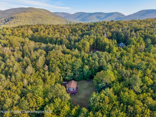 321 Terrace Drive, Lexington, NY 12468