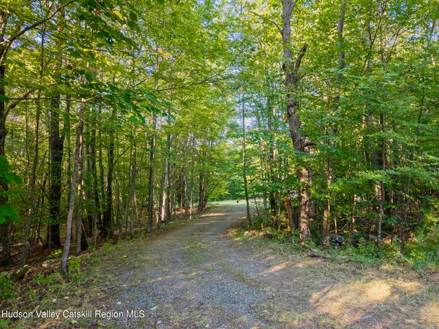 321 Terrace Drive, Lexington, NY 12468