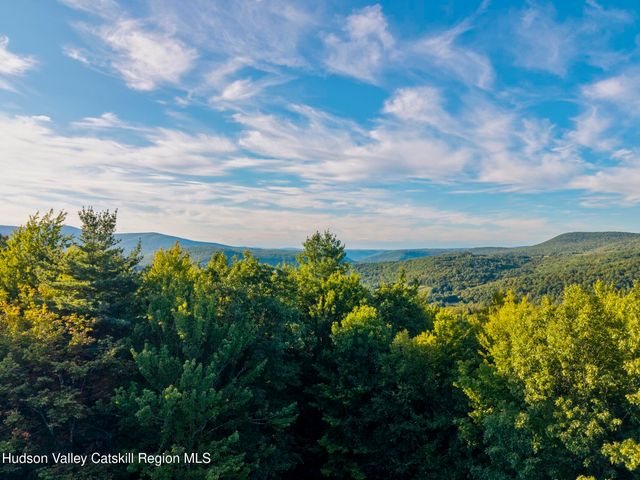 321 Terrace Drive, Lexington, NY 12468