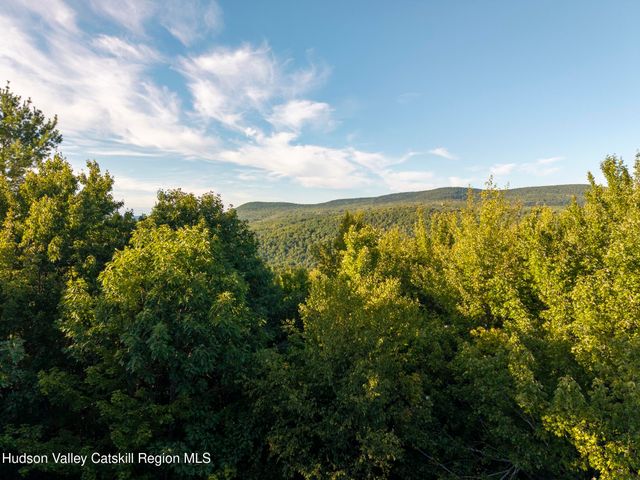 321 Terrace Drive, Lexington, NY 12468