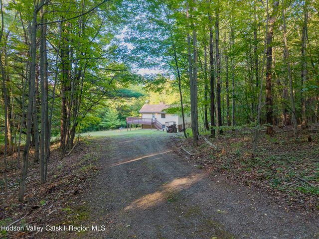 321 Terrace Drive, Lexington, NY 12468