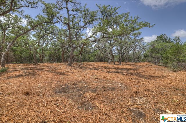 1158 Madrone Road, Fischer, TX 78623