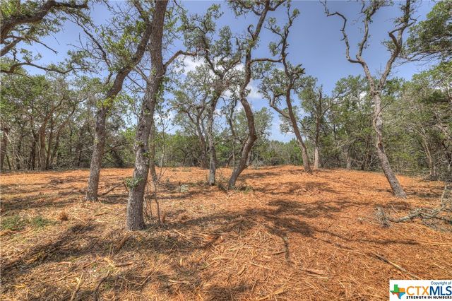 1158 Madrone Road, Fischer, TX 78623
