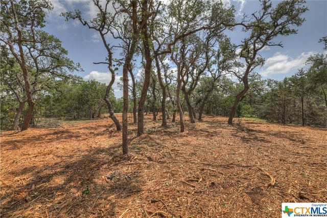 1158 Madrone Road, Fischer, TX 78623