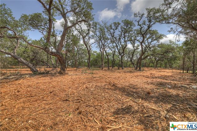 1158 Madrone Road, Fischer, TX 78623