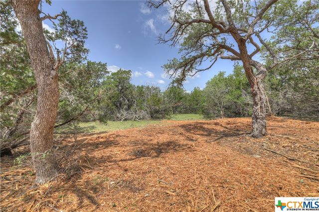 1158 Madrone Road, Fischer, TX 78623