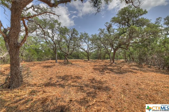 1158 Madrone Road, Fischer, TX 78623