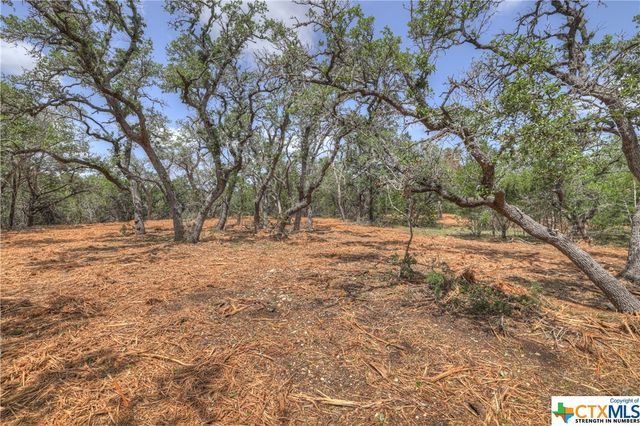 1158 Madrone Road, Fischer, TX 78623