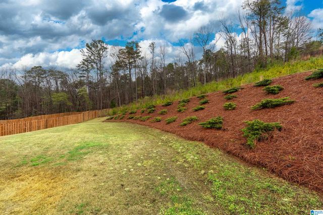 1063 TIMBERLINE RIDGE, Calera, AL 35040