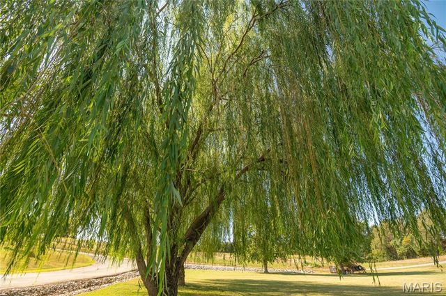 11559 Finley Drive, Dexter, MO 63841